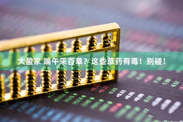 大盈家 端午采百草？这些草药有毒！别碰！