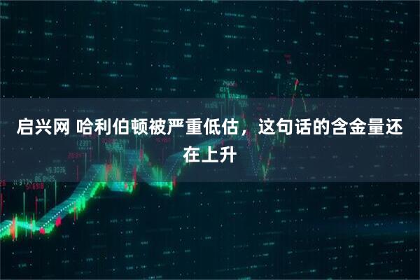启兴网 哈利伯顿被严重低估，这句话的含金量还在上升