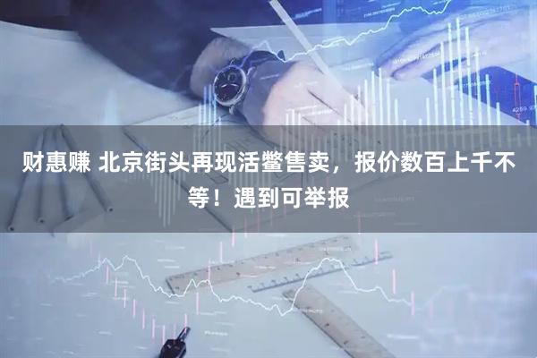 财惠赚 北京街头再现活鳖售卖，报价数百上千不等！遇到可举报