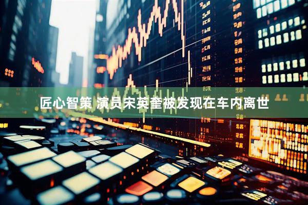 匠心智策 演员宋英奎被发现在车内离世