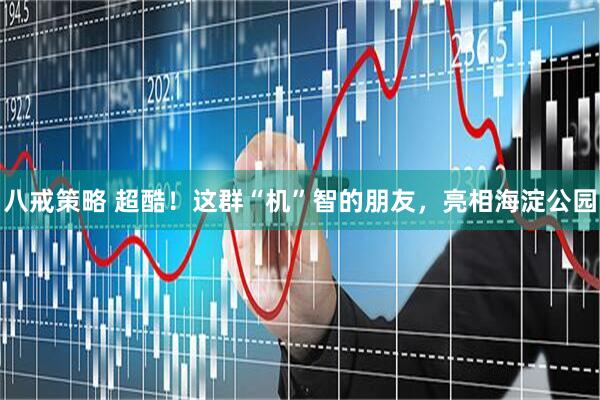 八戒策略 超酷！这群“机”智的朋友，亮相海淀公园
