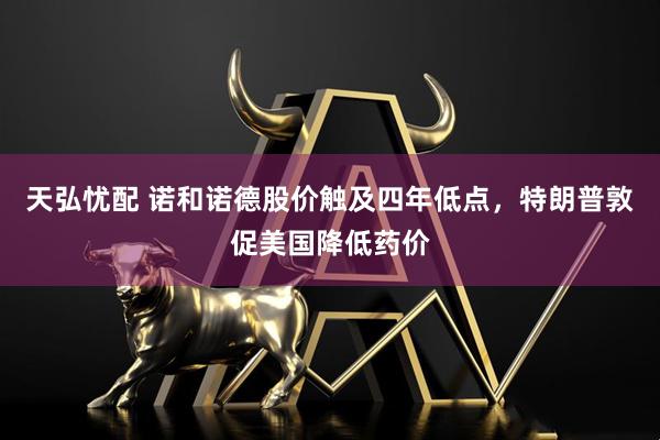 天弘忧配 诺和诺德股价触及四年低点，特朗普敦促美国降低药价
