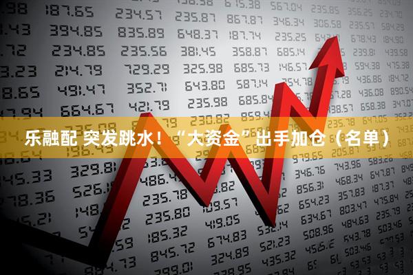 乐融配 突发跳水!“大资金”出手加仓(名单)